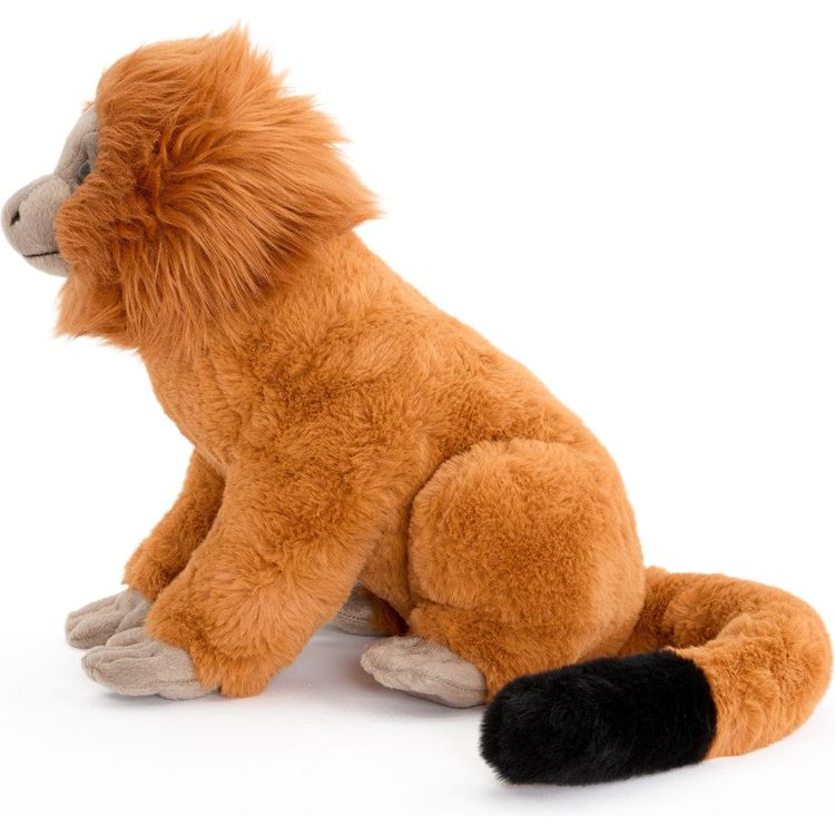 12 Adopt A Wild Pal Endangered Gold Lion Tamarin Plush - Image 5