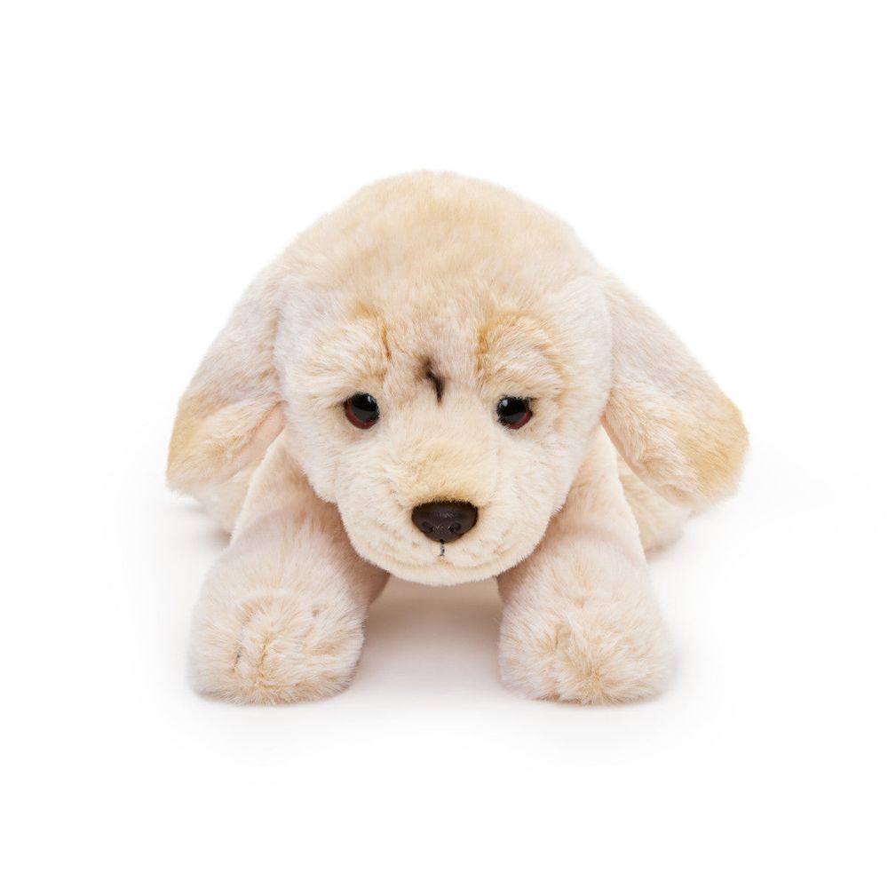 15 Adopt-A-Pets Plush Labrador - Image 3
