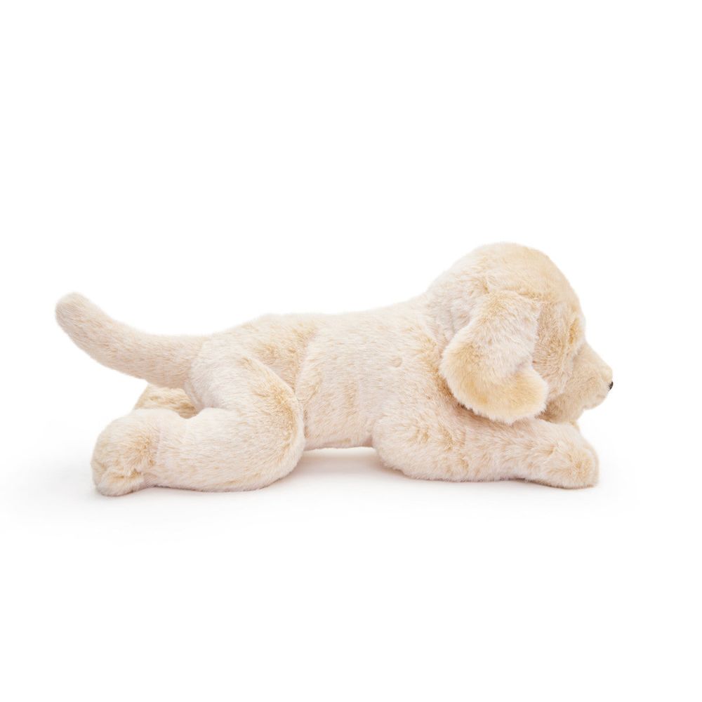 15 Adopt-A-Pets Plush Labrador - Image 4