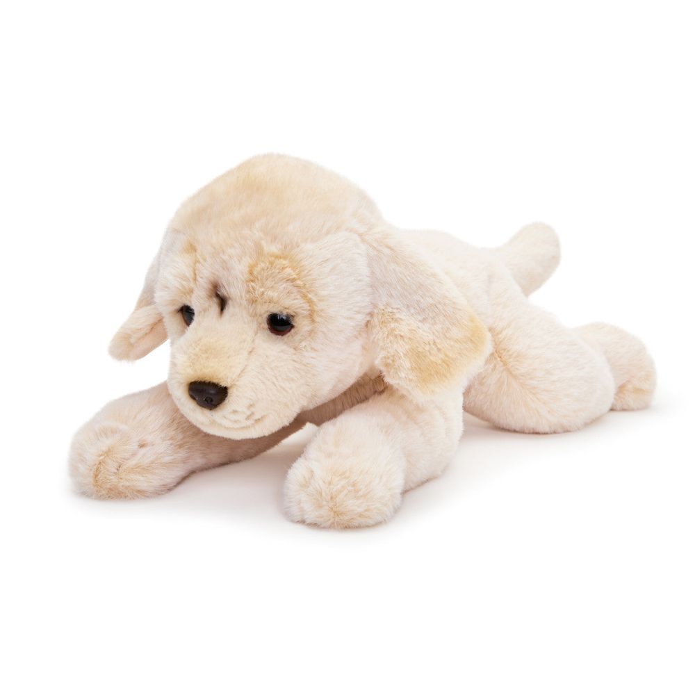 15 Adopt-A-Pets Plush Labrador - Image 5