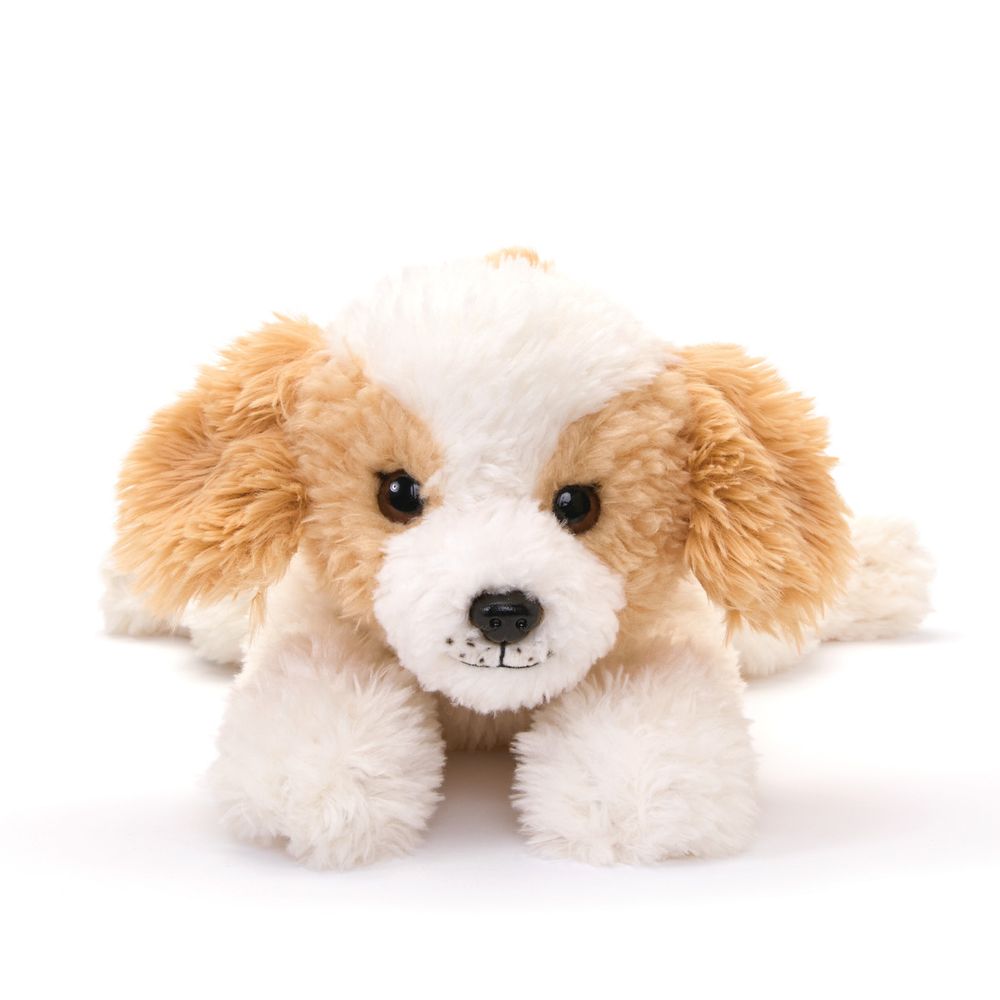 22 Adopt-A-Pets Cavachon Plush - Image 3