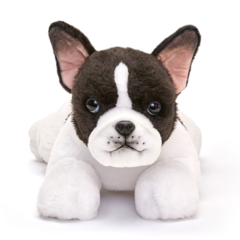 22 Adopt-A-Pets Frenchton Plush - Image 3