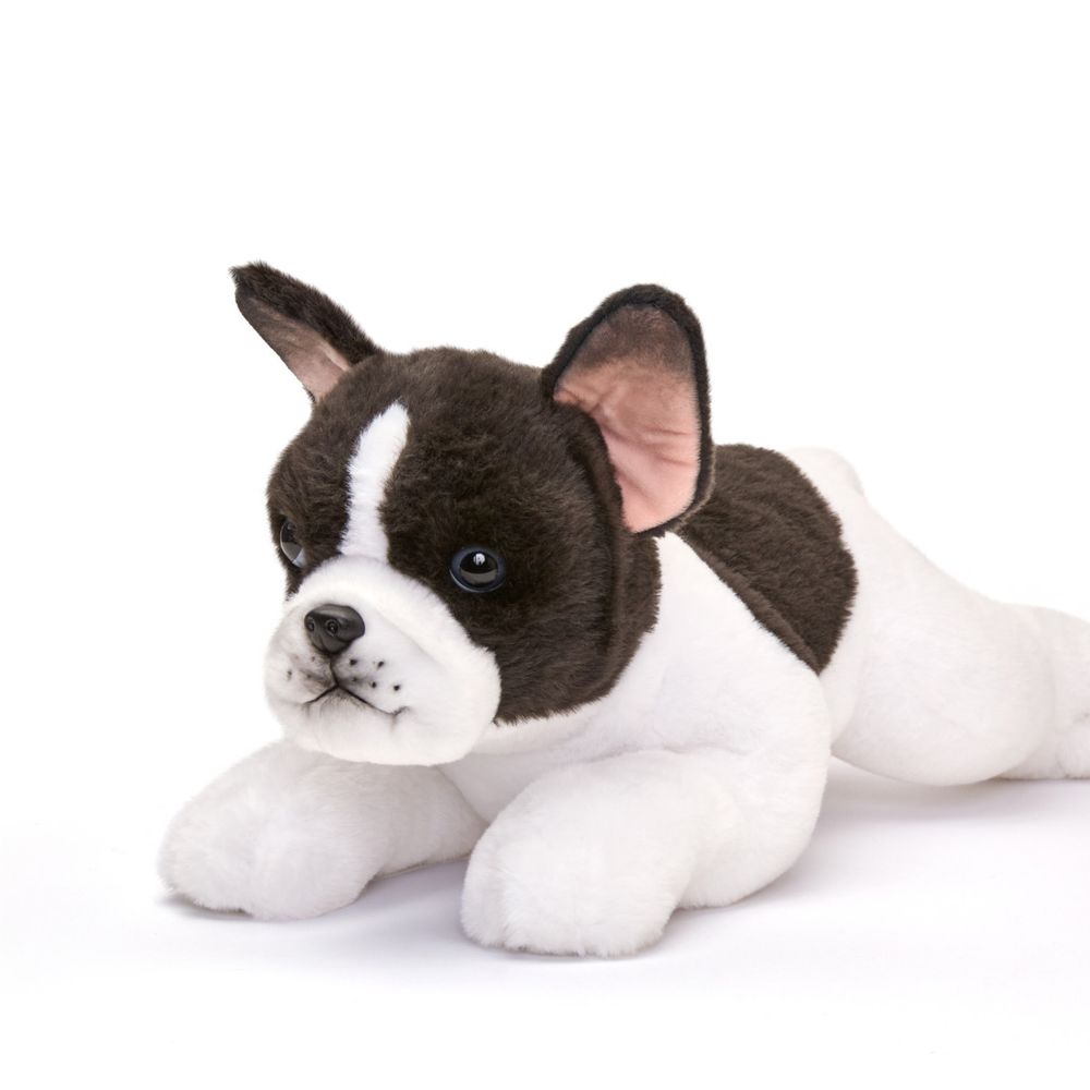 22 Adopt-A-Pets Frenchton Plush - Image 4