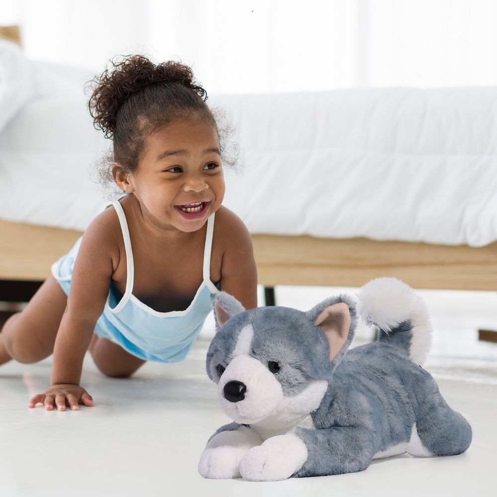22 Adopt-A-Pets Mix Pups Plush Corgsky - Image 2