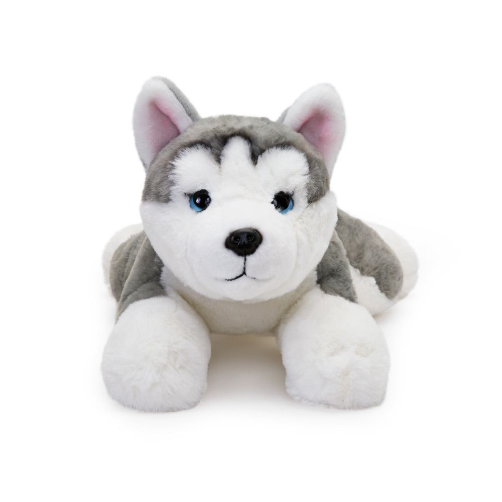 22 Adopt-A-Pets Plush Husky - Image 3