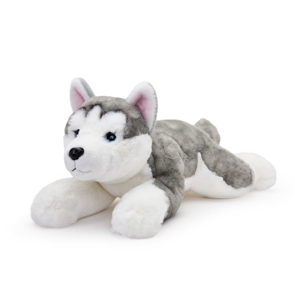 22 Adopt-A-Pets Plush Husky - Image 4