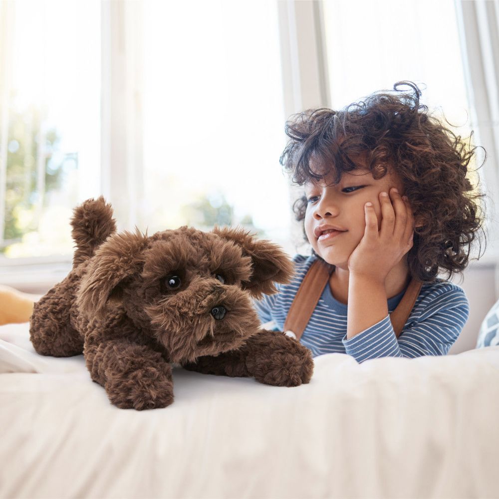 22 Adopt-A-Pets Plush Schnoodle - Image 2