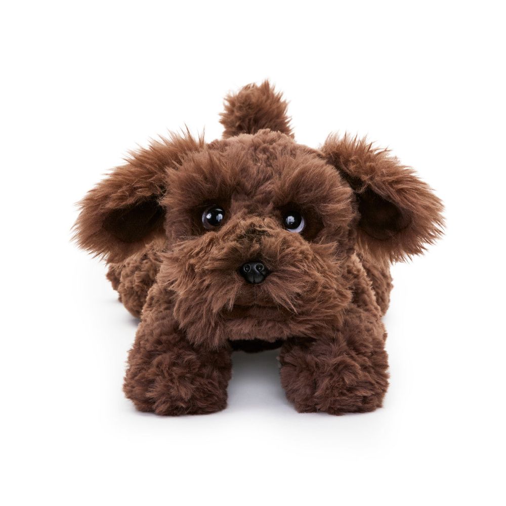 22 Adopt-A-Pets Plush Schnoodle - Image 3