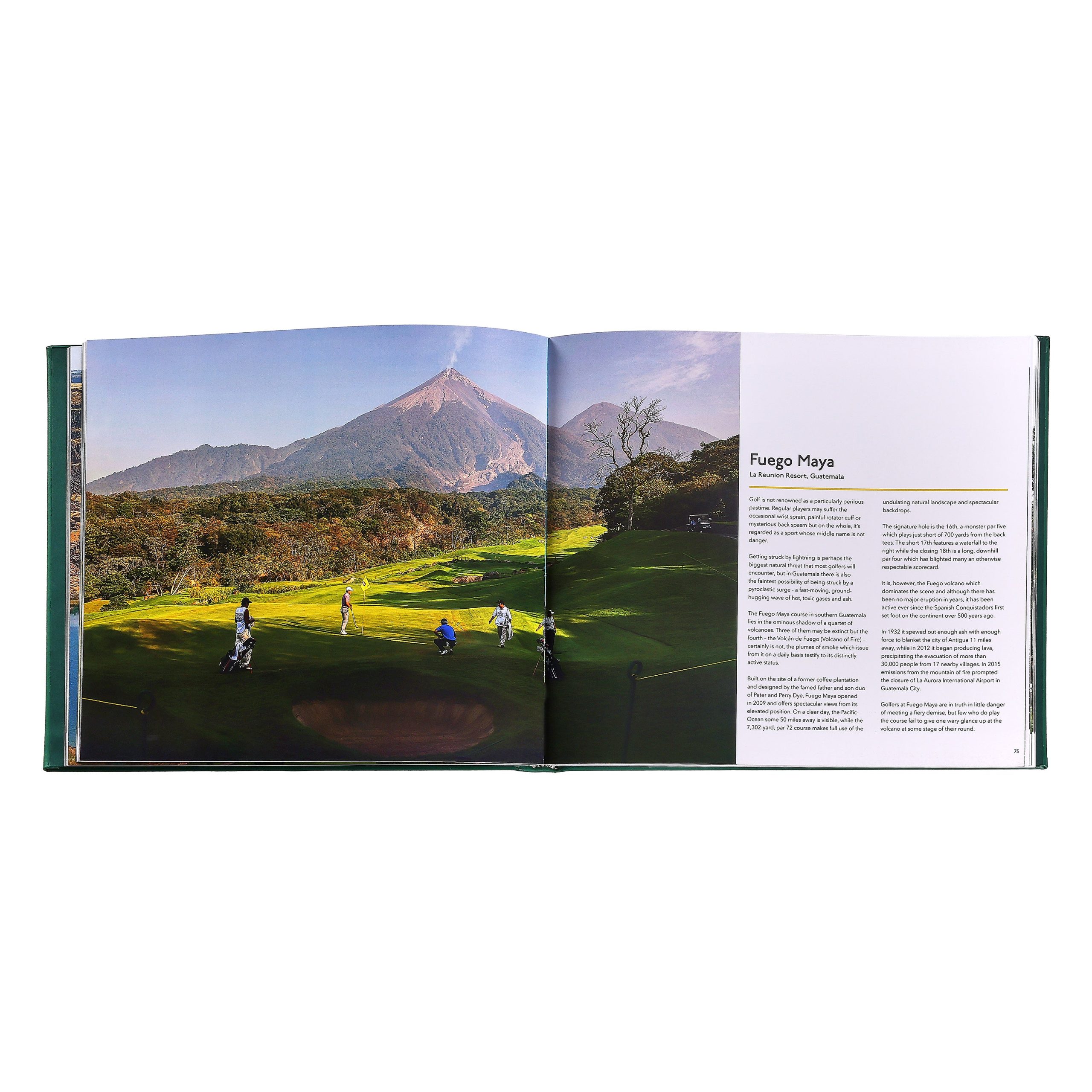Remarkable Golf Courses Book Leather Edition - Image 3