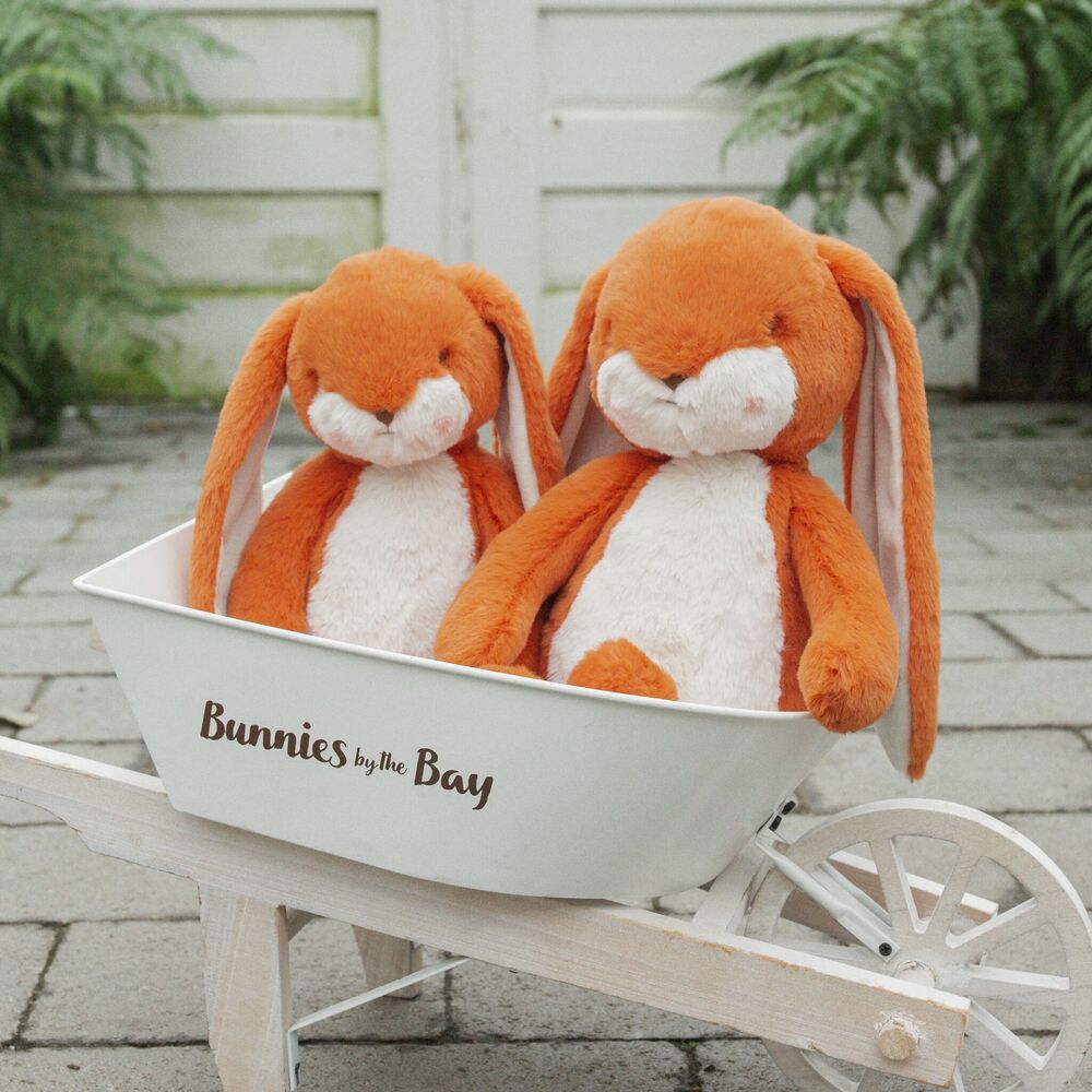Sweet 16 Floppy Nibble Bunny – Carrot - Image 2