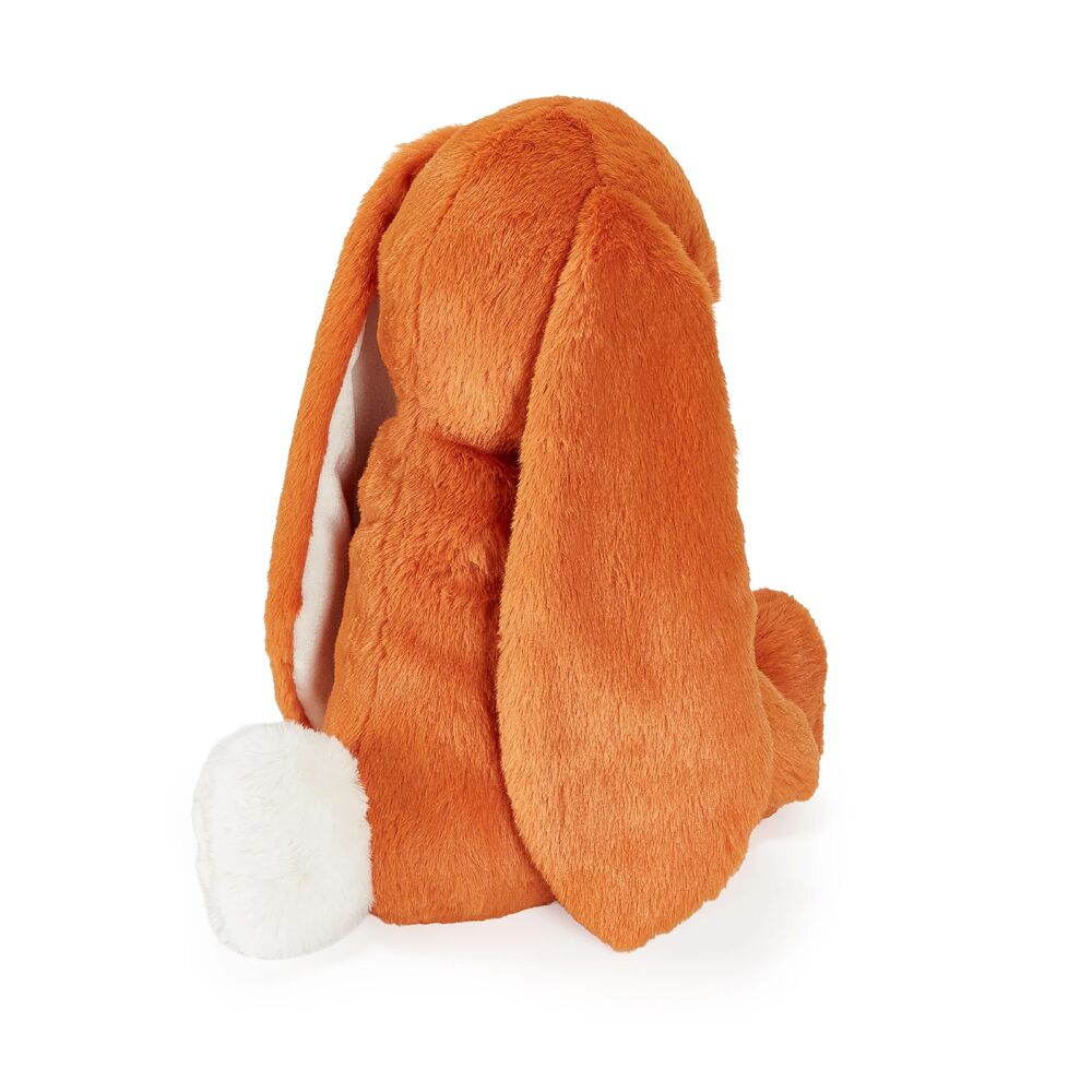 Sweet 16 Floppy Nibble Bunny – Carrot - Image 5