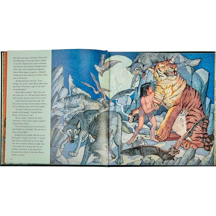 The Jungle Book in Green Bonded Leather - Image 4