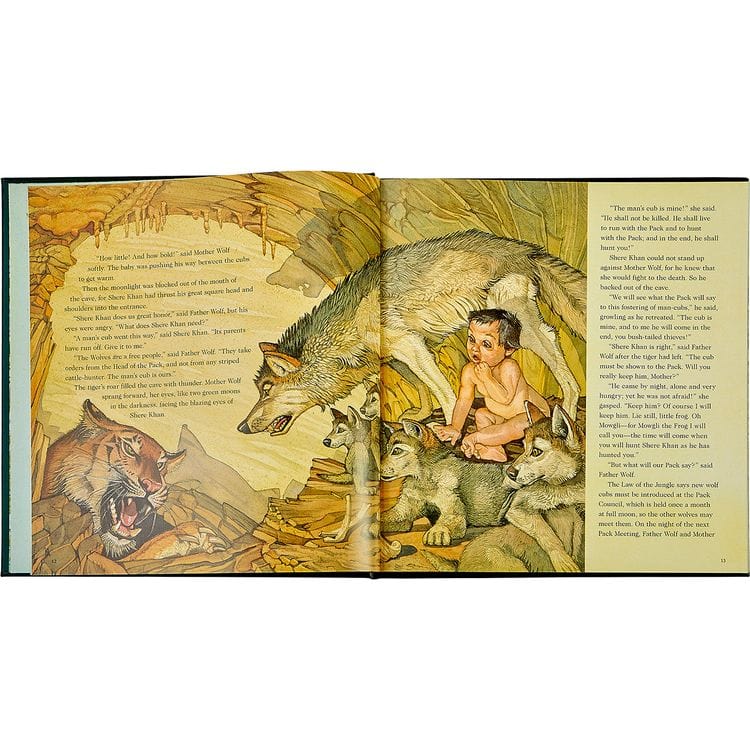 The Jungle Book in Green Bonded Leather - Image 5